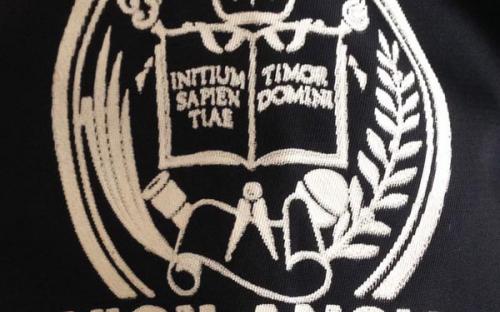 La imagen esta mal utilizada, no se respeto la Identidad Institucional aprobada en Consejo Universitario